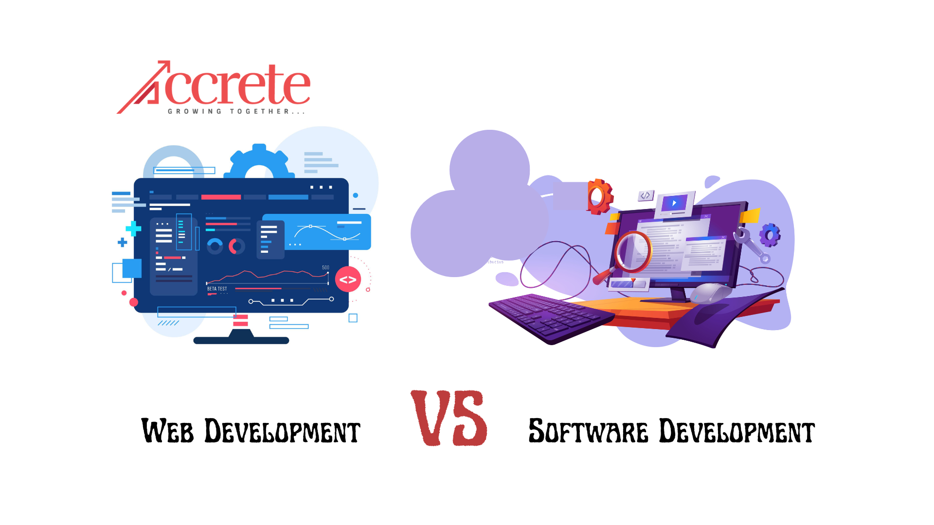 web development vs software development